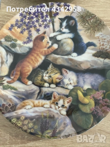 на фотографии:

Колекционерски порцеланови чинии Kahla – „Katzenkinder auf Entdeckungsreise“., снимка 6 - Други ценни предмети - 56018285