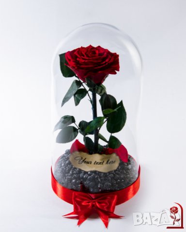 Подарък за Годишнина / Естествена Вечна Роза в Голяма Стъкленица / Оригинален Подарък за Жена, снимка 11 - Други - 34470749