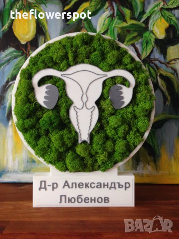 Подарък за гинеколог и гинекологична клиника
