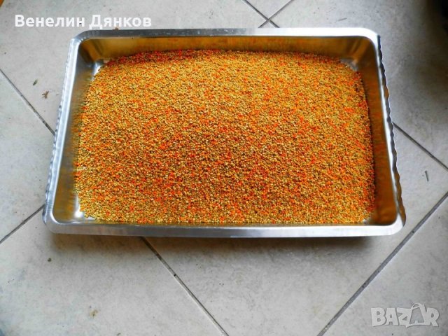 Пчелен прашец