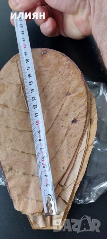 Аквариуми Hailea 2л.Листа от катапа-индийски бадем,нагревател 8w, снимка 9 - Аквариуми - 52975808