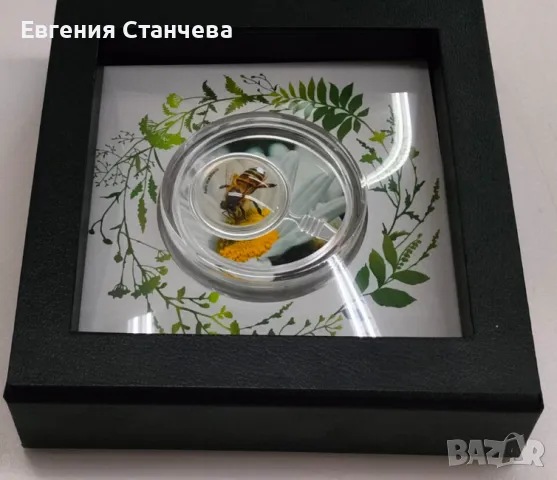 инвестиционна монета пчела сребро сребърна монета