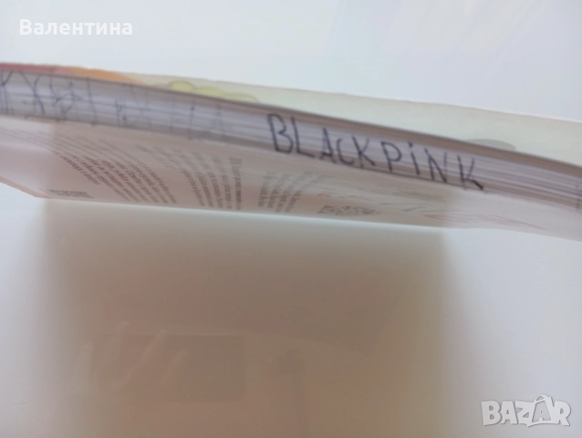 НЕМО 4 клас бгучебник, снимка 2 - Учебници, учебни тетрадки - 52107393