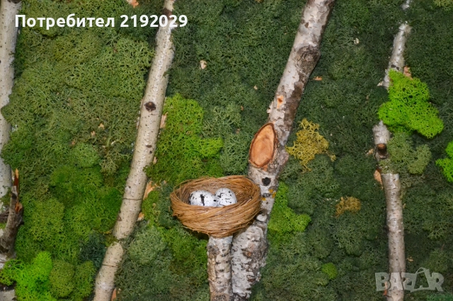 Зелена ДЕКОРАТИВНА СТЕНА от Скандинавски мъх „Гора“, снимка 5 - Други - 51513911