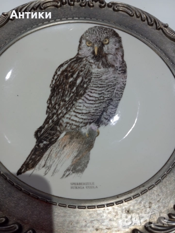 Порцеланова колекционерска чиния за стена с печати , снимка 2 - Чинии - 52563891