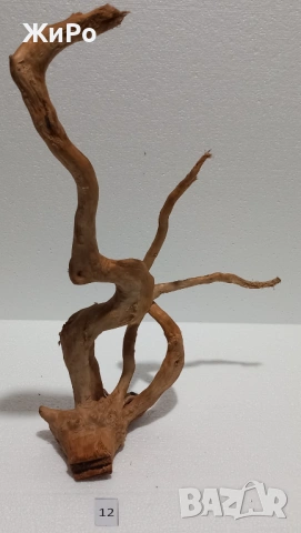 Корен от Азалия /декорация/ 12