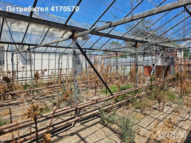 Продава се стъклена оранжерия, снимка 13 - Оранжерии - 51654998