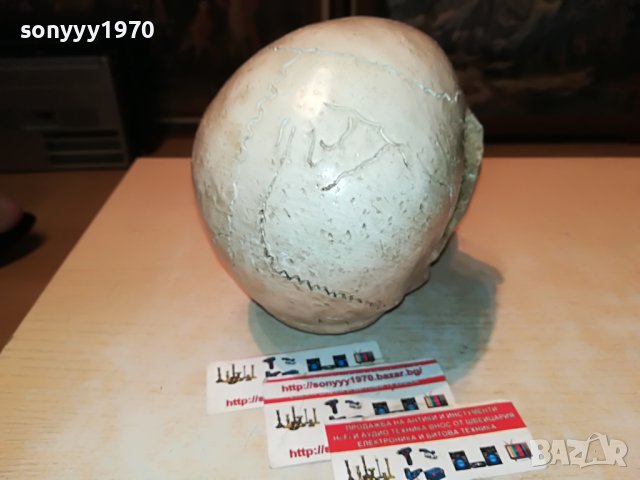 черепа 20х16х14см-антика 0101231028, снимка 9 - Антикварни и старинни предмети - 39153266