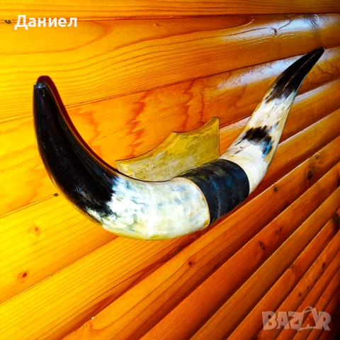 Декорация от рога на воден бивол, снимка 3 - Декорация за дома - 52028966