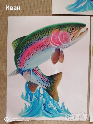 Стикер лепенка Риба Щука Елен Глиган Тигър за автомобил кола джип камион + подарък, снимка 4 - Аксесоари и консумативи - 28853901