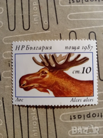 Марки от България 