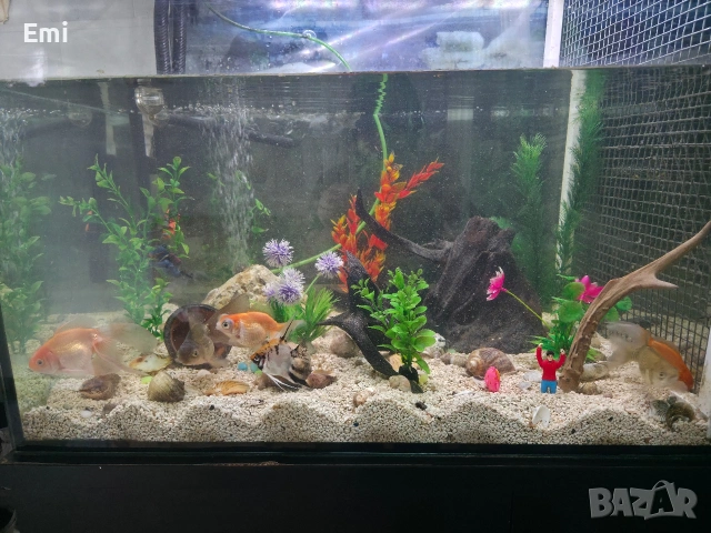 Аквариум със шкаф 400л., снимка 6 - Аквариуми - 54253859