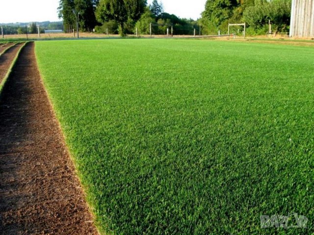 Почвена смес за РАЙГРАС, трева, чимове. Тор рохкава смес, богата на полезни микроелементи. , снимка 4 - Тор и почвени смеси - 42132445