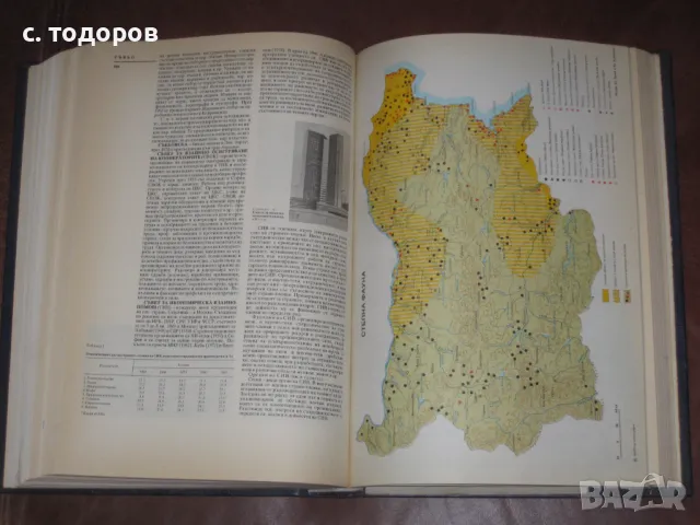 Енциклопедия "България". Том 1-7, снимка 7 - Енциклопедии, справочници - 48178235