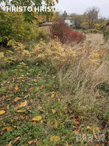 УПИ в село Крушево, на 5 км. от гр. Севлиево, снимка 10 - Парцели - 47321630
