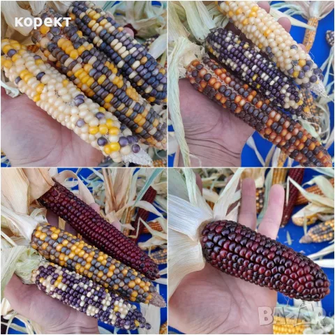 Царевица за декорация, снимка 2 - Декорация за дома - 55970168