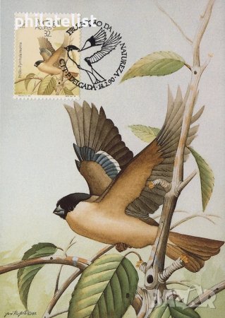 Азорски острови - Португалия 1990 4 броя Карти Максимум, снимка 4 - Филателия - 38896236