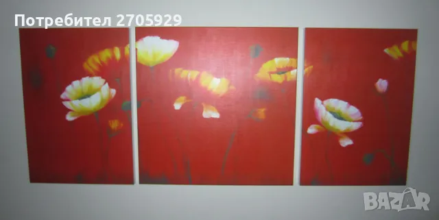 3 бр. картини "Макове"