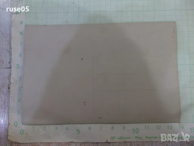 Снимка стара на военни с коне на водопой, снимка 2 - Колекции - 47324328