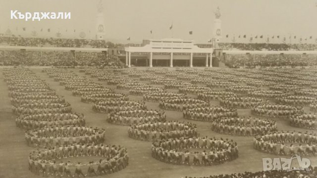 Много Рядък Знак от Спартакиадата в Прага 1955 г., снимка 5 - Антикварни и старинни предмети - 33996809
