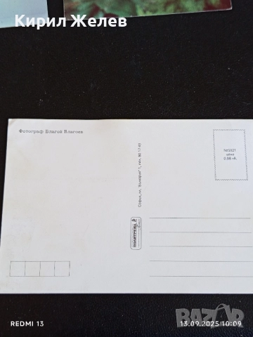 Четири пощенски картички тема ЦВЕТЯ редки от соца за КОЛЕКЦИЯ ДЕКОРАЦИЯ 50862, снимка 6 - Филателия - 51698231