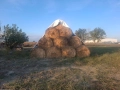 Продавам бали овес, снимка 4