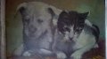 стара картина-коте и куче на дончо владков, снимка 7
