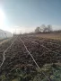 Оранжерии и открити площи под наем на 7 км. от гр. Варна в с. Куманово, от 70 кв.м. до 300 кв.м., снимка 2