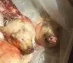 Прясно свинско ., снимка 6