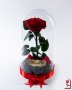 Подарък за Годишнина / Естествена Вечна Роза в Голяма Стъкленица / Оригинален Подарък за Жена, снимка 11