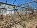 Продава се стъклена оранжерия, снимка 13