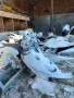 Унгарски гиганти, снимка 1