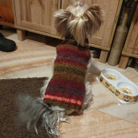 Плетена дрешка за куче М размер Различни цветове , снимка 17 - За кучета - 44343726