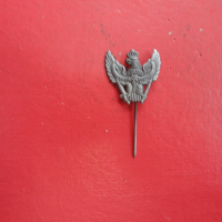 Старинен армейски знак Орел, снимка 7 - Колекции - 44714500