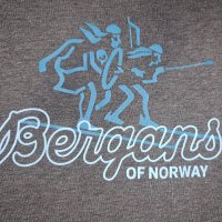 Bergans of Norway Bergans Tee (L) мъжка тениска, снимка 3 - Тениски - 42787697