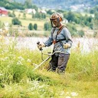 Косене премахване на всякъква растителност, снимка 2 - Други услуги - 40134792