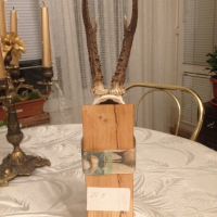 Красива декорация с трофей сръндак и висулка с рог, Германия, снимка 4 - Декорация за дома - 36571800