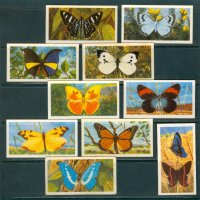 Пеперуди - 24 бр.стари английски чаени картички, снимка 2 - Колекции - 40860014
