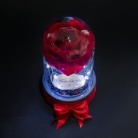 Вечна Роза в Стъкленица с Лампички / LED светлини / Подарък за Рожден Ден - Светеща Вечна Роза, снимка 3 - Подаръци за жени - 42689991