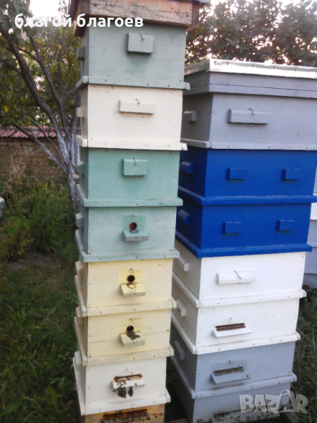 Пчелни семейства , снимка 1
