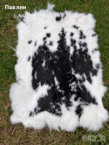 Заешки кожи, снимка 1