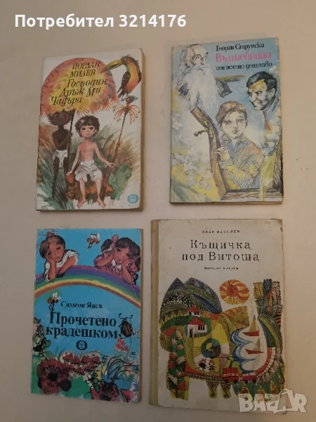 Къщичка под Витоша - Иван Василев, снимка 1