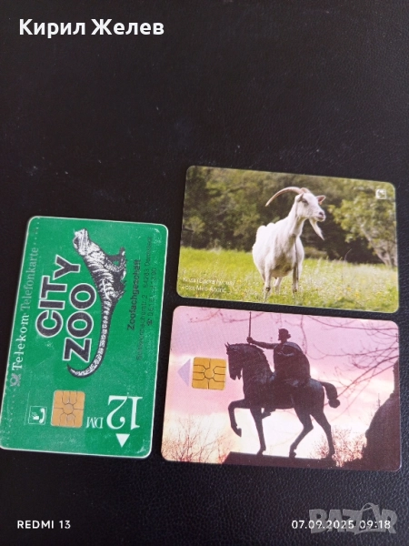 Три фонокарти серия ЖИВОТНИ,НАЦИОНАЛНИ ПАМЕТНИЦИ редки за КОЛЕКЦИЯ ДЕКОРАЦИЯ 50911, снимка 1