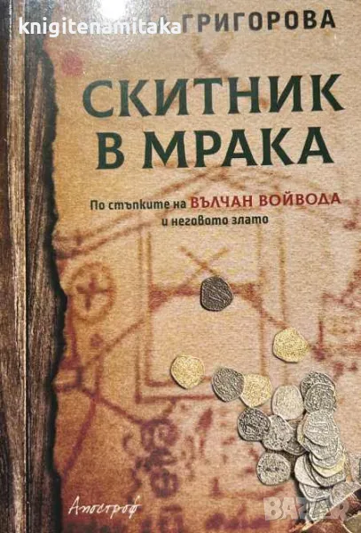 Скитник в мрака - Ирена Григорова, снимка 1