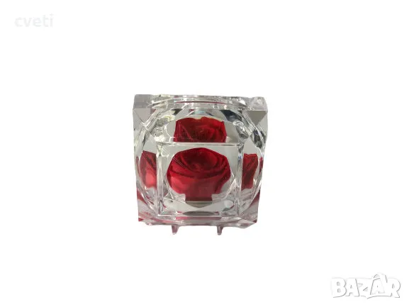 Вечна роза в кристална кутия , снимка 16 - Градински цветя и растения - 48969850