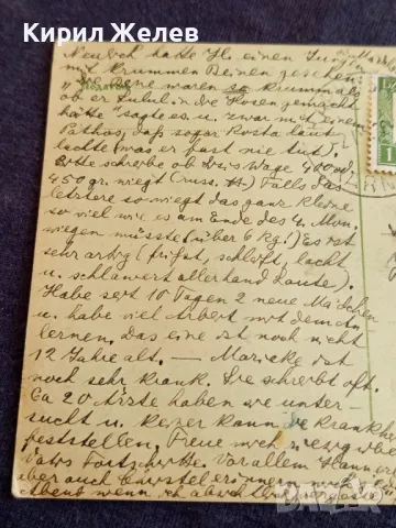  Пощенска картичка Царство България 1936г. кореспонденция с Фашистка Германия с печати и марки 40712, снимка 6 - Филателия - 47988213