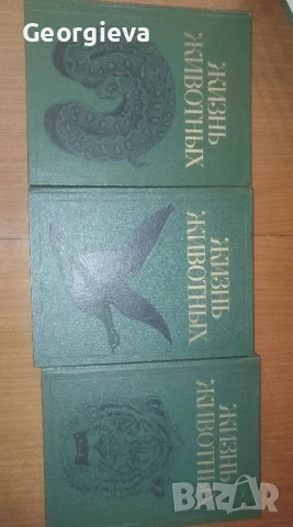 енциклопедия жизнь живот ни, снимка 2 - Енциклопедии, справочници - 51382271