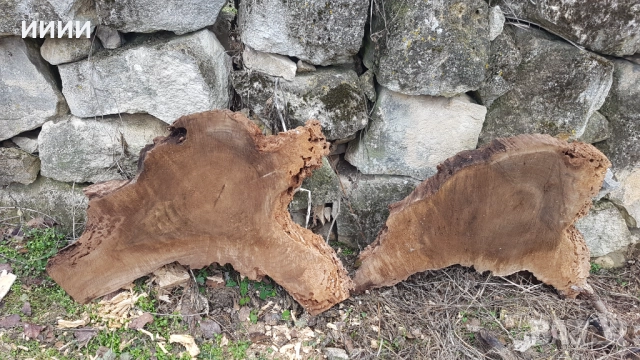 Шайби от орех, снимка 8 - Други - 51118755