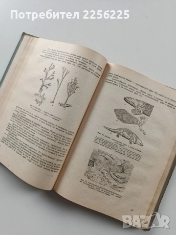 Дарвинизъм, снимка 2 - Специализирана литература - 54067065