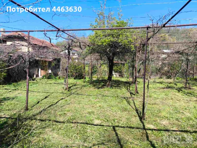 Парцел в с. Крайни дол, снимка 12 - Парцели - 50165003